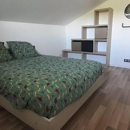Appartement 60M² -Clonas /Vareze Экстерьер фото